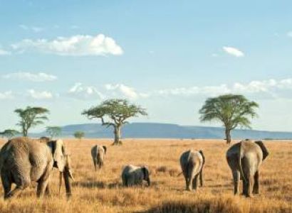 2 Days Tarangire - Ngorongoro From Arusha