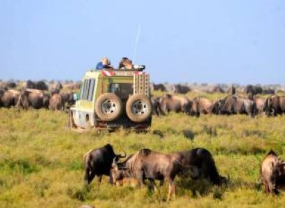 1 Day Tarangire National Park Tour