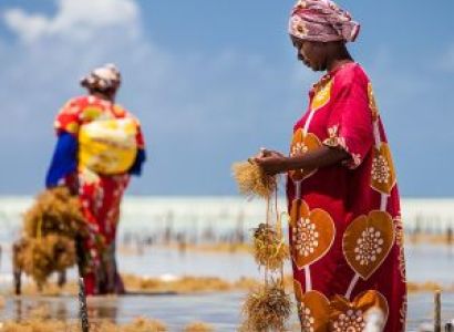Zanzibar Village Tour – Discover the Real Island Life