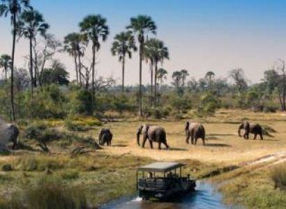 Selous  Nyerere National Park) Day Trip from Zanzibar