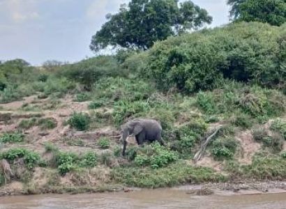 5 Nights / 6 Days Classic Kenya Safari