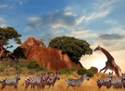3 Days Tanzania Safari Tour
