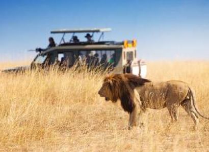 6 Days Tanzania Safari Tour