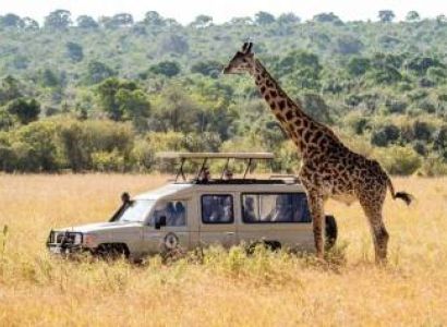 5 Days Tanzania Safari Tour