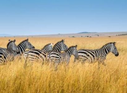 6 Days Maasai Mara Safari Tour