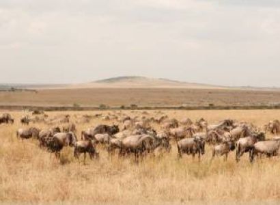 6 Days Maasai Mara Safari Tour