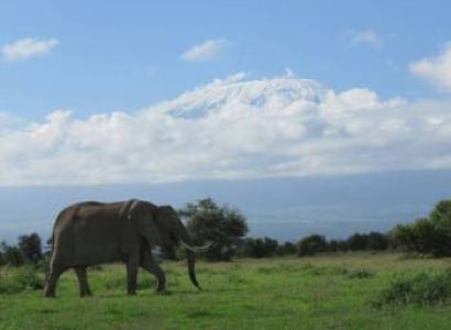 6 Nights 7 Days Grand Southern Kenya Safari Tour