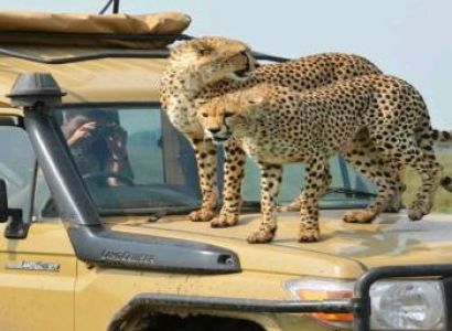 6-Day Best Experience Serengeti Ngorongoro & Kilimanjaro