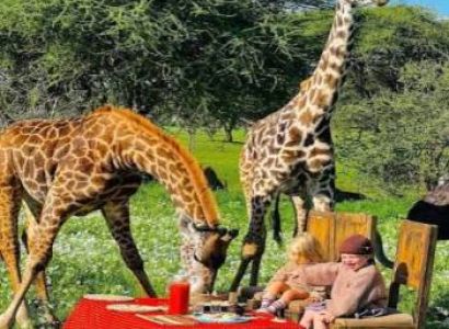 6 - Day Adventure in the Heart of Tanzania