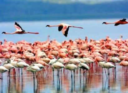 4-Day Luxury Safari in Manyara, Ngorongoro and Tarangire