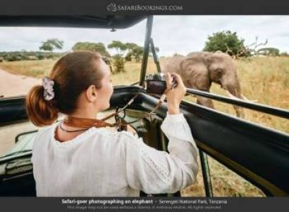 5 - Day Tarangire, Serengeti and Ngorongoro Crater
