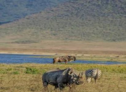 4 - Day Tarangire, Serengeti & Ngorongoro Camping Safari