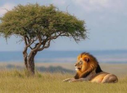 3 - Day Discover The Wonders of Serengeti & Ngorongoro Crater