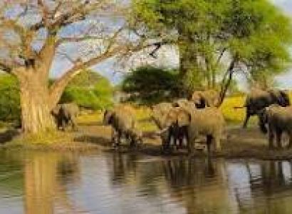 2 - Day Tarangire & Ngorongoro Crater Group Safari