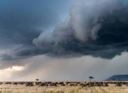 3 Days 2 Nights At the Maasai Mara National Park Narok