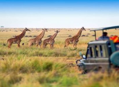 Naivasha Trip