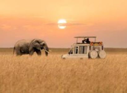 Mara Safari Tour