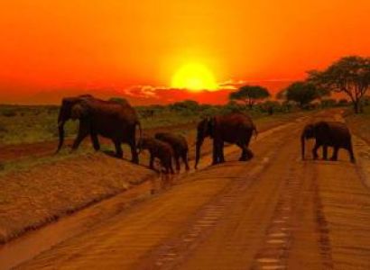 4nights 5days from Nairobi to Tsavo East