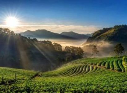 Assam And Meghalaya Tour