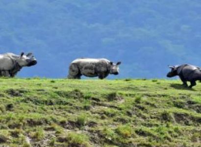 Kaziranga And Meghalaya Tour