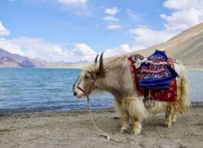4 Days Leh Tour Package - Standard