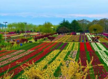 4 Night 5 Days Kashmir Tour