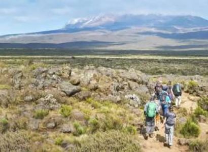 8 Days Lemosho Route Tour
