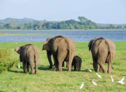 7 Days Sri Lanka Tour Package
