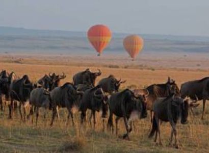 7 Day Masai Mara Tour