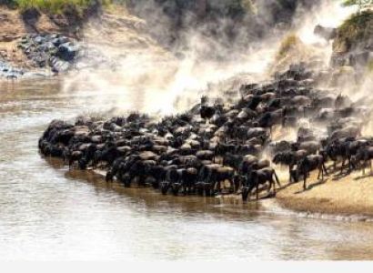 3 Nights to Lake Nakuru & Masai Mara Package