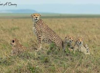 3 Days Samburu Tour