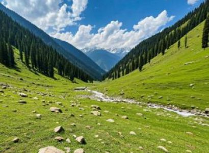 8 Night - 9 Days Kashmir To Ladakh Road Trip