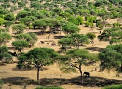 Arusha & Kilimanjaro & Ngorongoro & Zanzibar Luxury Holiday - 7 Days