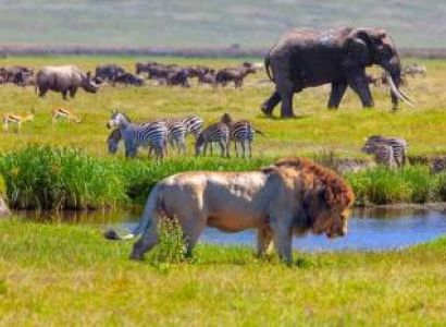 6 Days Tanzania Group Joining Safari – Tarangire, Serengeti & Ngorongoro