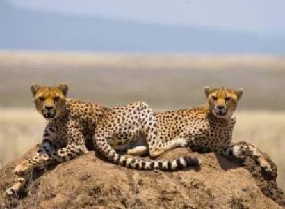 7-DAY NORTHERN TANZANIA SAFARI ITINERARY