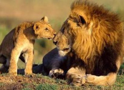 7 Days Wildlife Explorer Tour