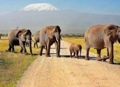 6 Days Amboseli - Tsavo Tour