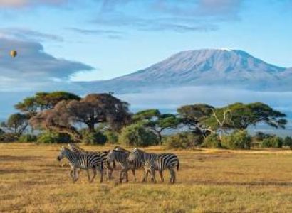 5 Days Masai Mara - Lake Nakuru Tour