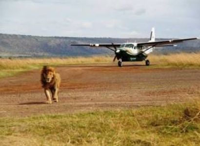 4 Days Masai Mara Fly-In Tour