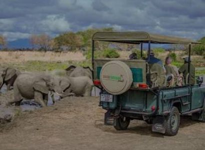 5 Nights 6 days Tanzania Safari Package