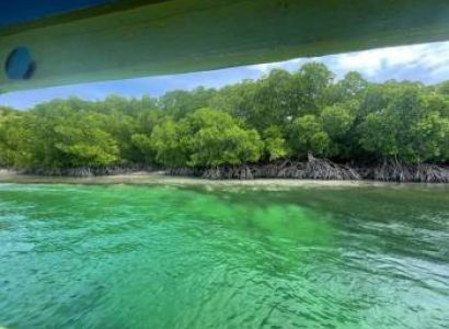 1 Day Wasini Island Tour