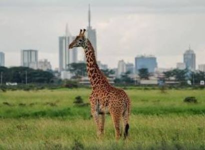 Nairobi National Park