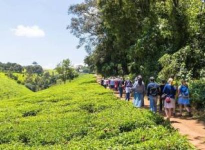 Limuru Country Tours