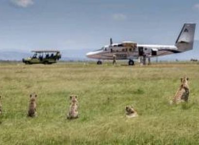 Sarova Mara Camp Flying Package
