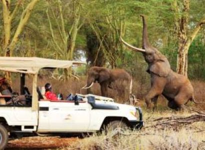 3 Nights Tsavo East, Tsavo West & Amboseli