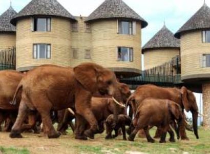 2 Nights Tsavo East & Taita Hills Safari