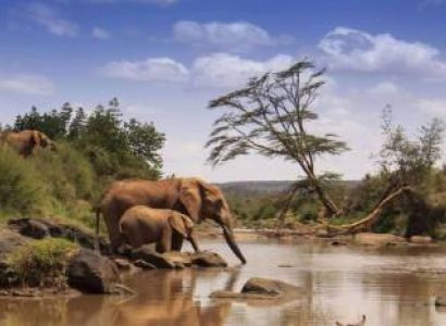 6 Nights – Mt. Kenya - N. Park Samburu N. Reserve - Lake Nakuru N. Park - masai Mara Game Reserve