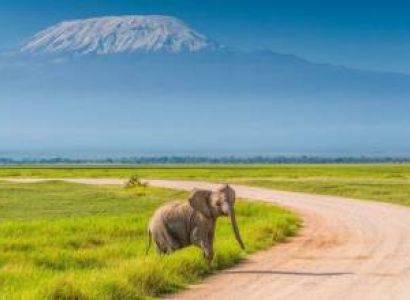 2 Nights Amboseli National Park