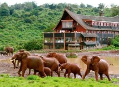 One Night Nairobi/ Aberdare National Park