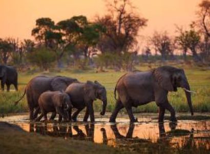 8 Days Tanzania Safari: Tarangire National Park/Serangeti National Park/Ngorongoro Crater